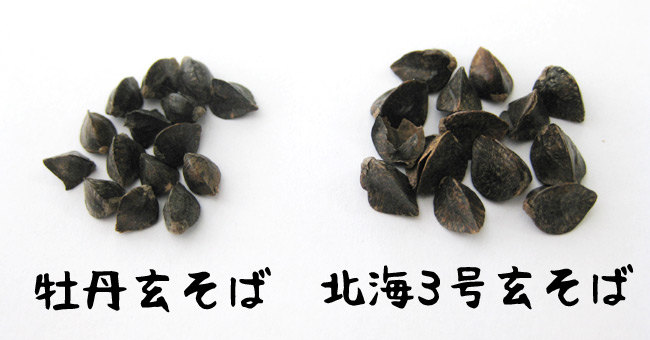 牡丹玄蕎麦 (種) 900g | 吉粋(きっすい) 北海道から全国へ