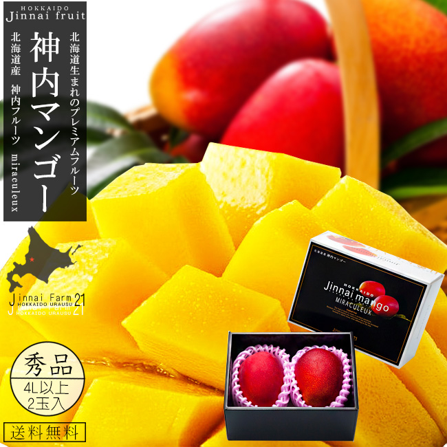 神内マンゴー秀品4Lアップ2玉 化粧箱 吉粋(きっすい) 北海道から全国へ