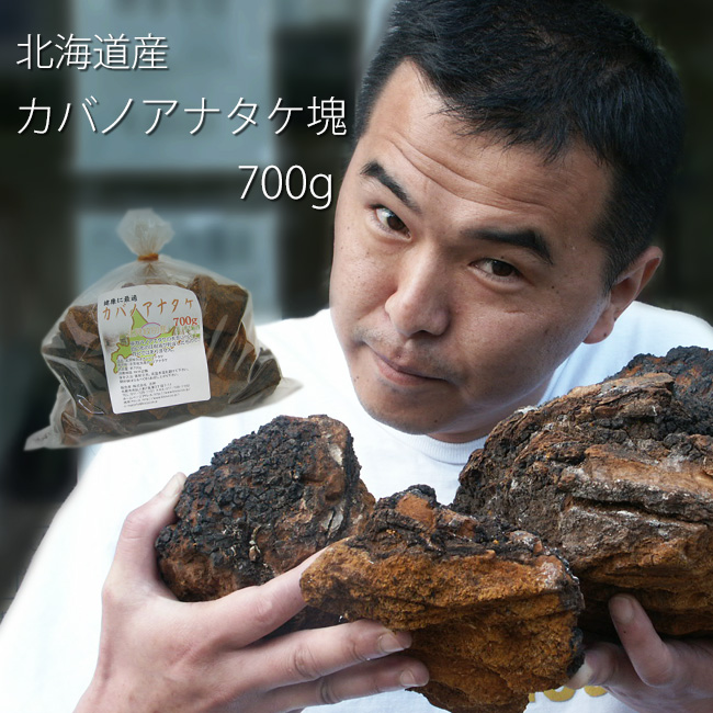 樺のあな茸茶 チャーガ茶 - 健康飲料