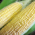 st09015
