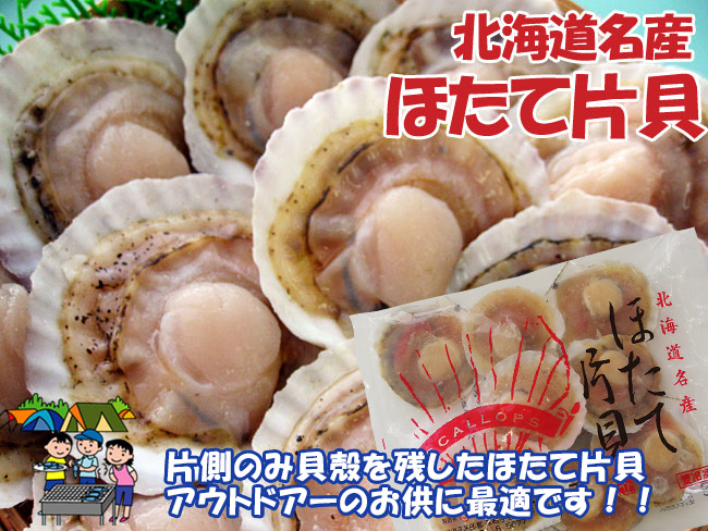 ほたて片貝(10枚)加熱用　吉粋(きっすい)　北海道から全国へ