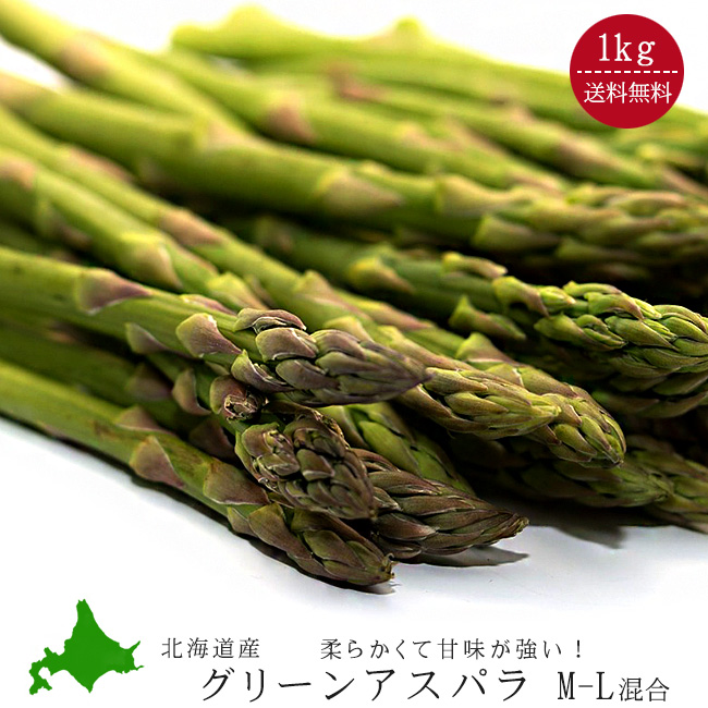 1350円 【2021春夏新色】 北海道 野菜 アスパラガス グリーンアスパラ900g L 2L