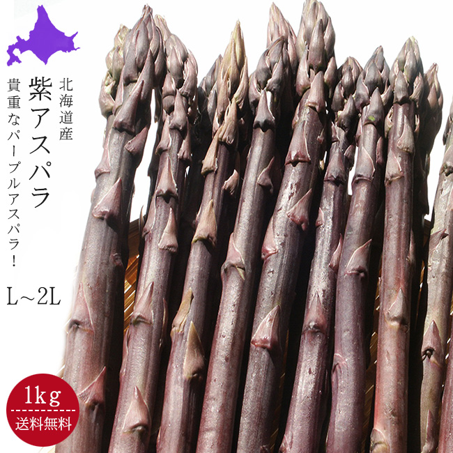 紫アスパラガス(L,2L混合)1kg　吉粋(きっすい)　北海道から全国へ