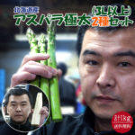 とと 超極太 北海道産 ホワイトアスパラ 3Lサイズ以上 2kg 楽天市場】極太 ホワイト アスパラの通販