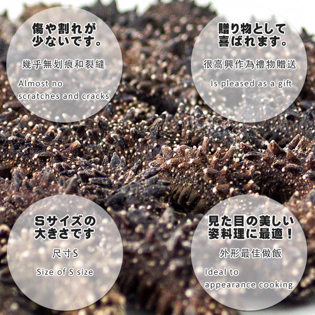 乾燥ナマコ特A級(Sサイズ50g) | 吉粋(きっすい) 北海道から全国へ