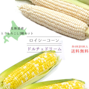 だるまいか2袋 吉粋 きっすい 北海道から全国へ