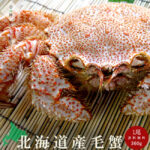 【北海道産】高級ボイル毛がにスルメイカコマイセット 毛蟹 1尾(約360g) | 吉粋(きっすい) 北海道から全国へ