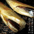ms02511