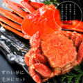 ms00219