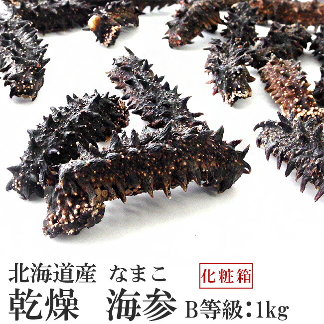乾燥なまこ 乾燥なまこ（干し海参）訳あり品｜伊勢のうまいもん屋【公式サイト】