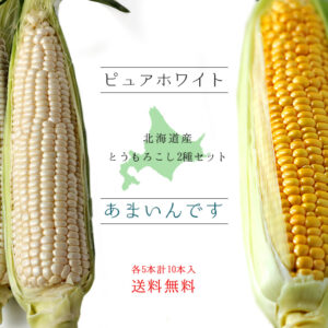 st01537