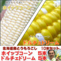 st01538