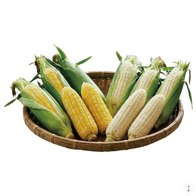st01538
