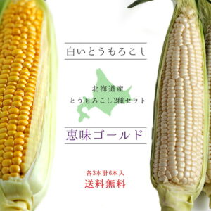 st01536