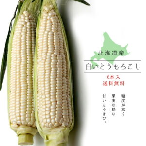 st01527