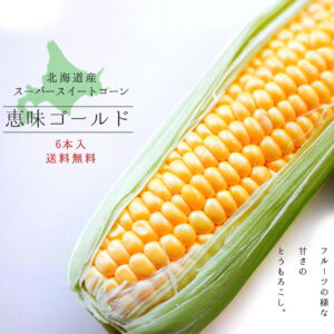 st01531